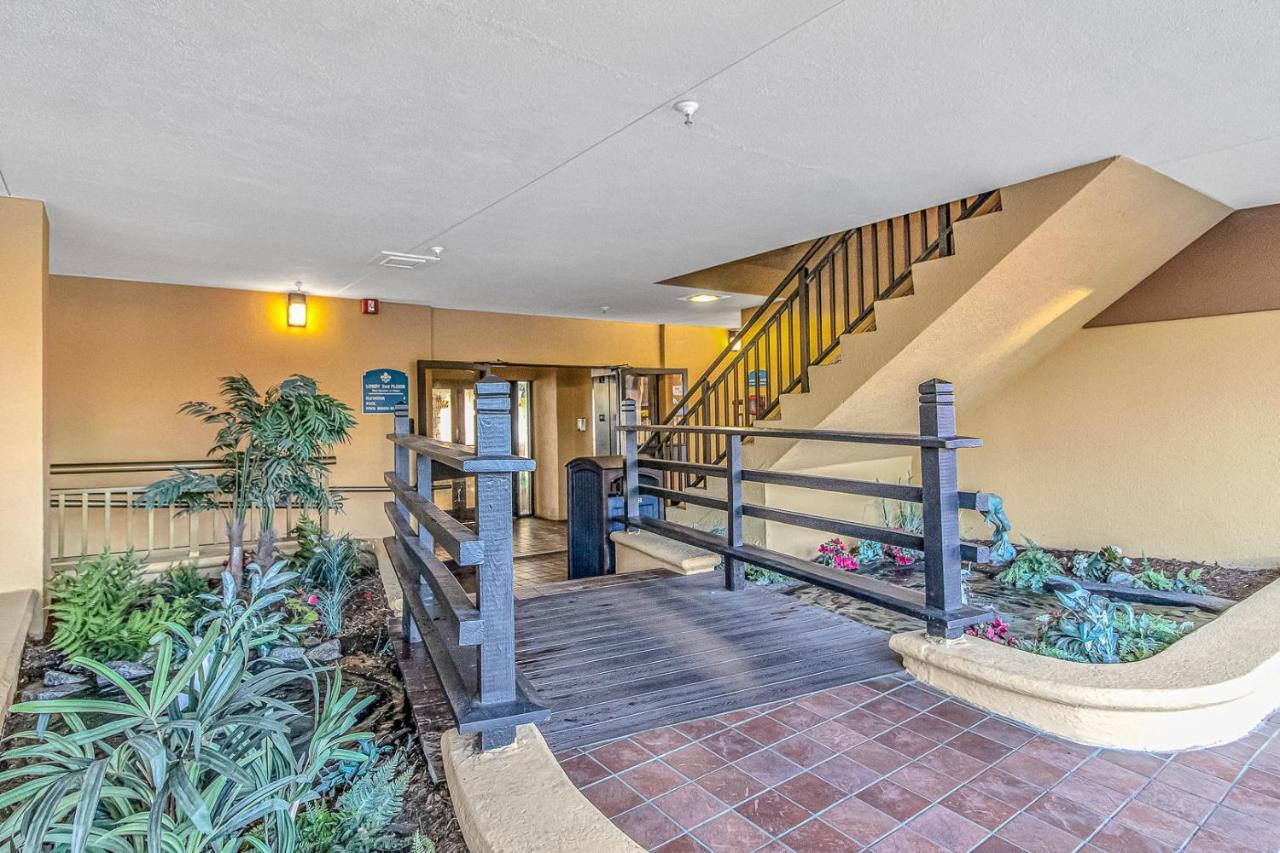 מירטל ביץ' Holiday Pavilion 405 מראה חיצוני תמונה